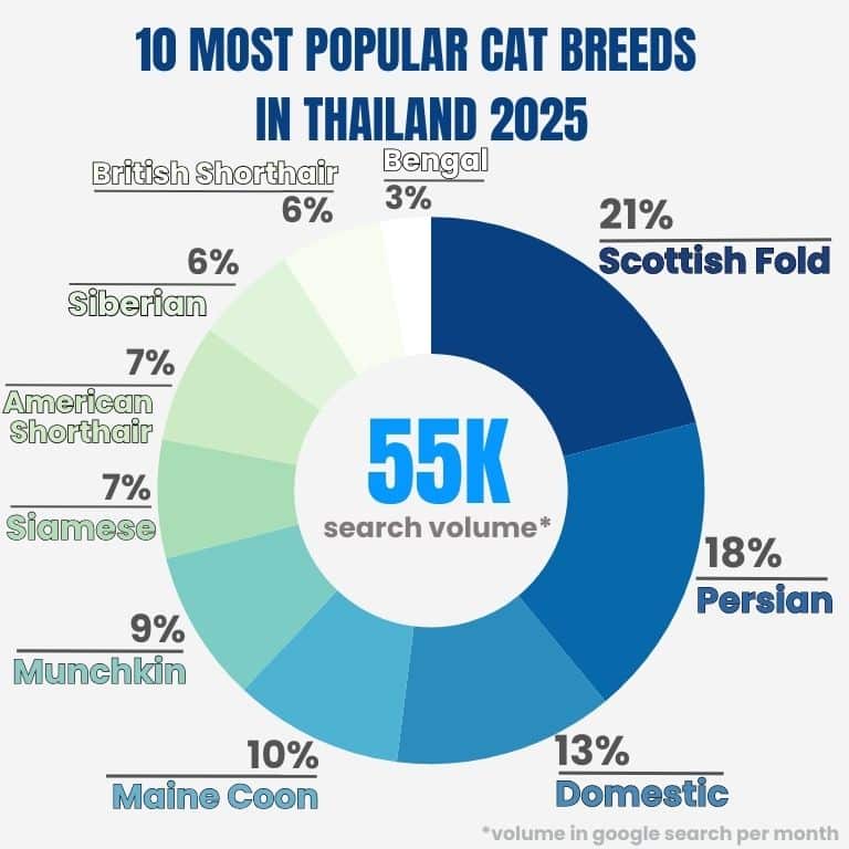 สายพันธุ์แมวที่ในโลกออนไลน์มีการค้นหาประมาณ 55,000 ครั้งต่อเดือน โดยที่เรียงลำดับการค้นหาเป็นสัดส่วนดังนี้ Scottish fold 21%, Persian 18%, Domestic shorthair 13%, Maine coon 10%, Munchkin 9%, Siamese 7%, American shorthair 7%, Siberian 6%, British shorthair 6% และ Bengal 3%