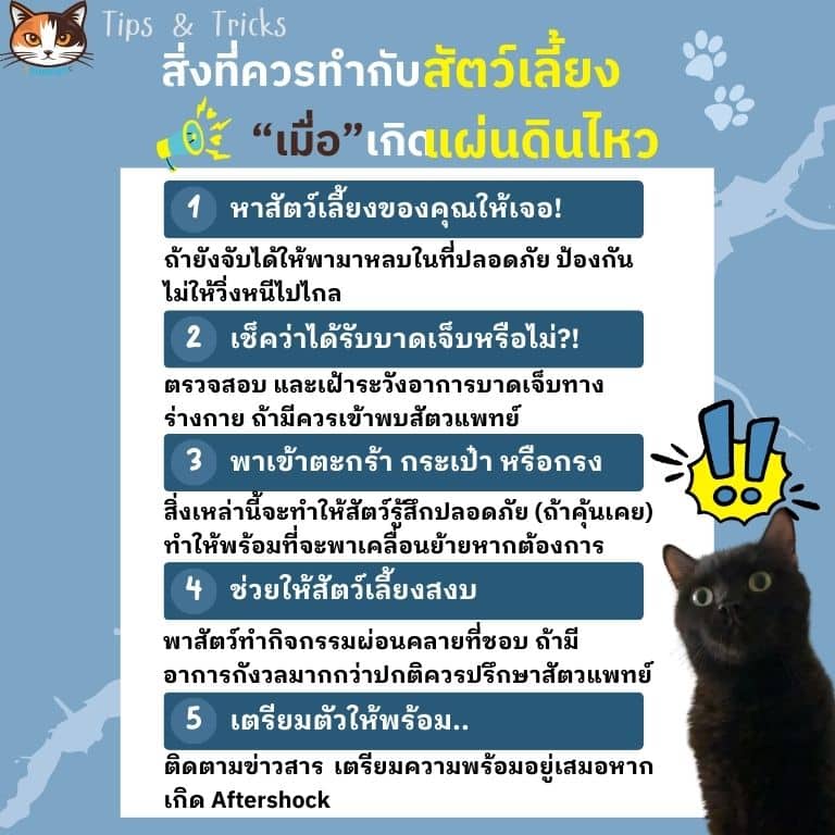Infographic เป็น Tips ว่าอะไรที่เราควรทำกับสัตว์เลี้ยงเมื่อเกิดแผ่นดินไหว