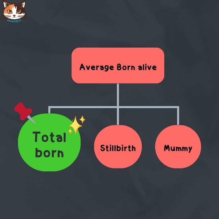 จำนวนลูกสุกรเกิดทั้งหมด หรือ Total born คือ จำนวนลูกสุกรที่คลอดทั้งหมด จากขบวนการคลอดในแต่ละครั้ง โดยจะรวมทั้งลูกสุกรที่เกิดมามีชีวิต และลูกสุกรที่เกิดมาไม่มีชีวิต (Stillborn + Mummy) ซึ่งดัชนีนี้จะบอกคุณภาพของระบบสืบพันธุ์ (Reproductive performance) ภายในฟาร์มพ่อแม่พันธุ์ได้โดยตรง นอกจากนี้แล้วดัชนีนี้ยังเป็นส่วนประกอบย่อยของดัชนีที่สำคัญอย่าง ลูกสุกรอย่านมต่อแม่ต่อปี หรือ PSY อีกด้วย